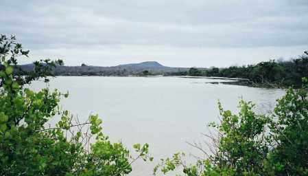 g015.jpg (14782 Byte)