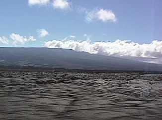 kea7.jpg (8548 Byte)
