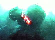 vv12.jpg (4756 Byte)