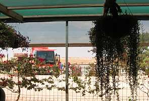inge03.jpg (14473 Byte)