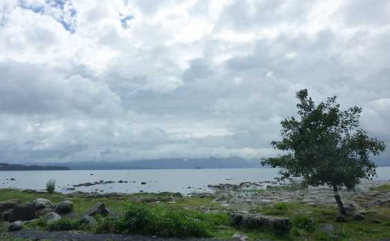 c02026.jpg (17876 Byte)