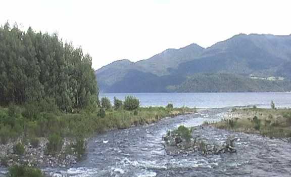 c02241.jpg (21682 Byte)