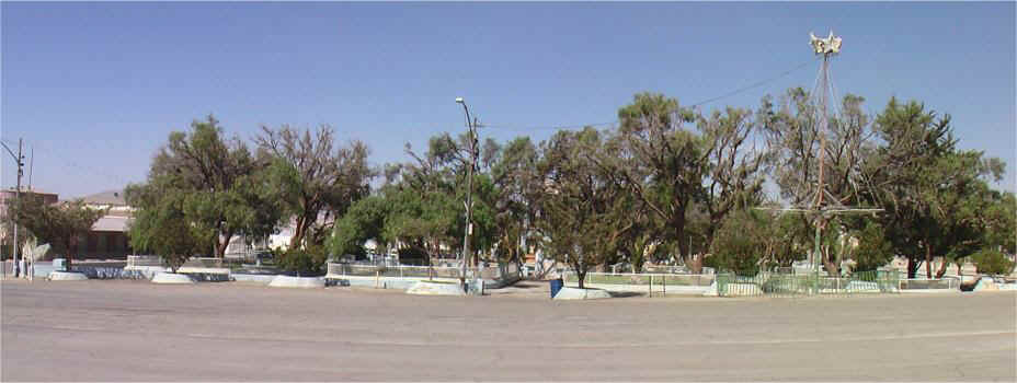c0467.jpg (54173 Byte)