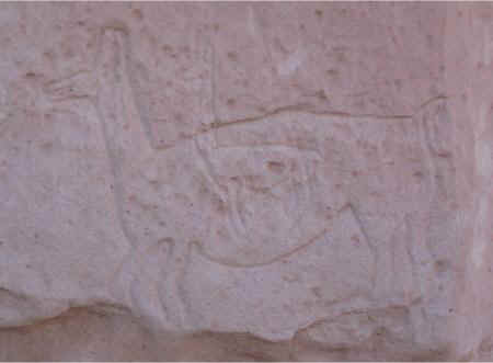 c0640.jpg (21622 Byte)