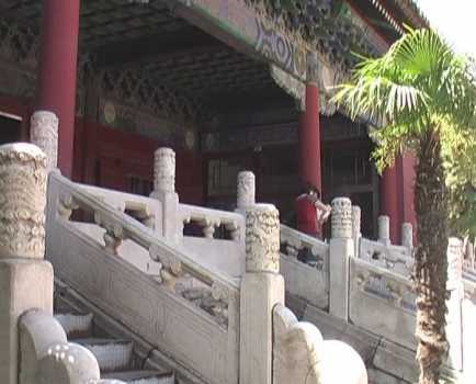 ming19.jpg (20009 Byte)