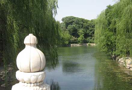 somm02.jpg (20045 Byte)