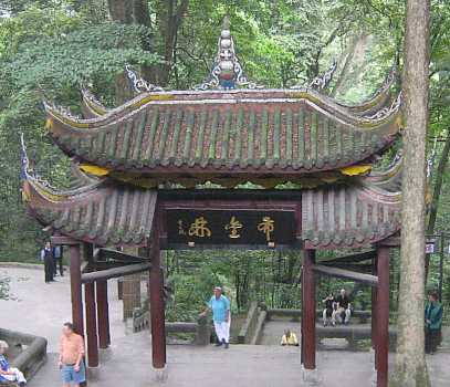 tiger05.jpg (27944 Byte)