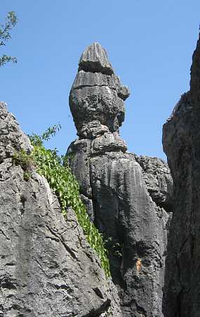 kun18.jpg (23402 Byte)