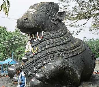 nandi.jpg (25269 Byte)