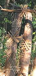 ru0135.jpg (11132 Byte)