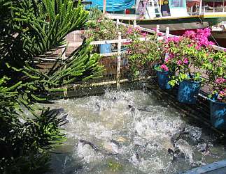 ru8403.jpg (26179 Byte)