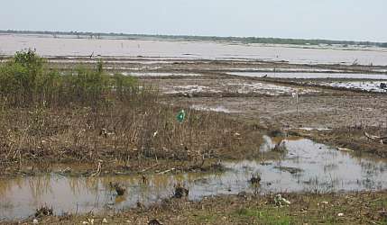 ru8409.jpg (20388 Byte)