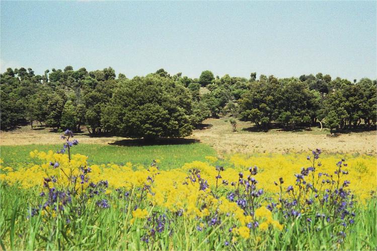 010.jpg (74358 Byte)