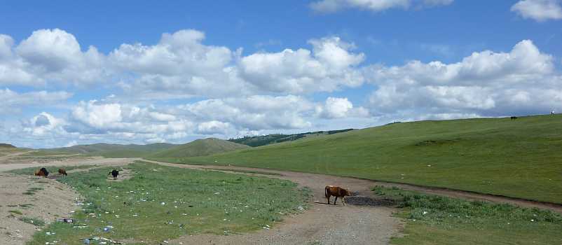 m03035.jpg (26235 Byte)