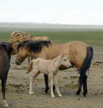 mru865.jpg (12923 Byte)