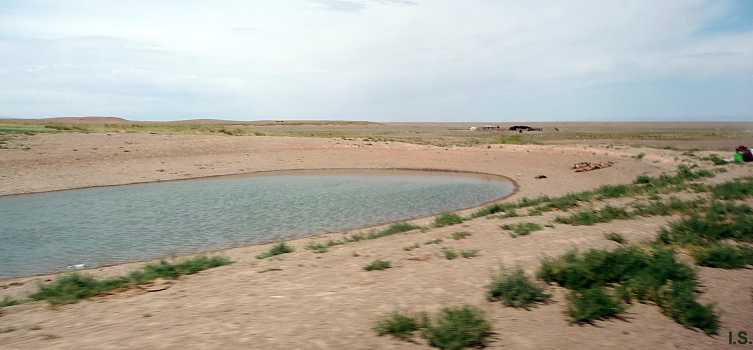 mru874.jpg (24149 Byte)
