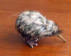 kiwi.jpg (5217 Byte)