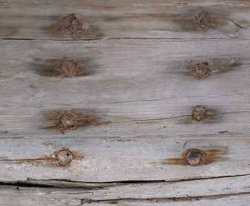 sur20.jpg (11641 Byte)