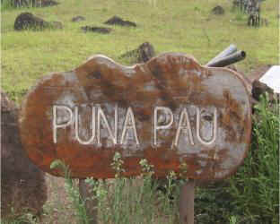 puna01.jpg (23752 Byte)