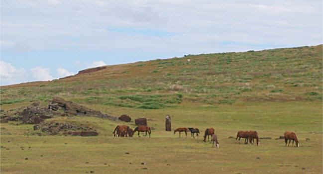 land17.jpg (31404 Byte)