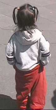 p1011.jpg (7254 Byte)