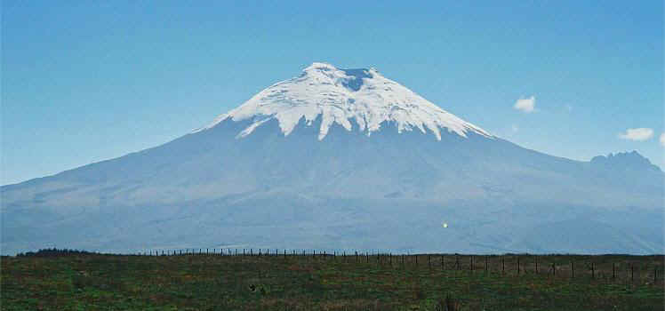 p1045.jpg (29646 Byte)