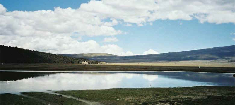 p1059.jpg (38076 Byte)
