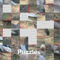 puzzx.jpg (7368 Byte)