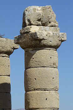 tum07.jpg (38591 Byte)