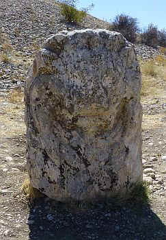 tum09.jpg (50471 Byte)