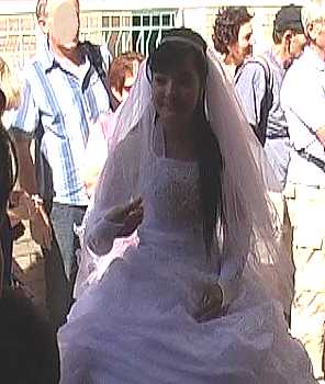 dhi144.jpg (17324 Byte)